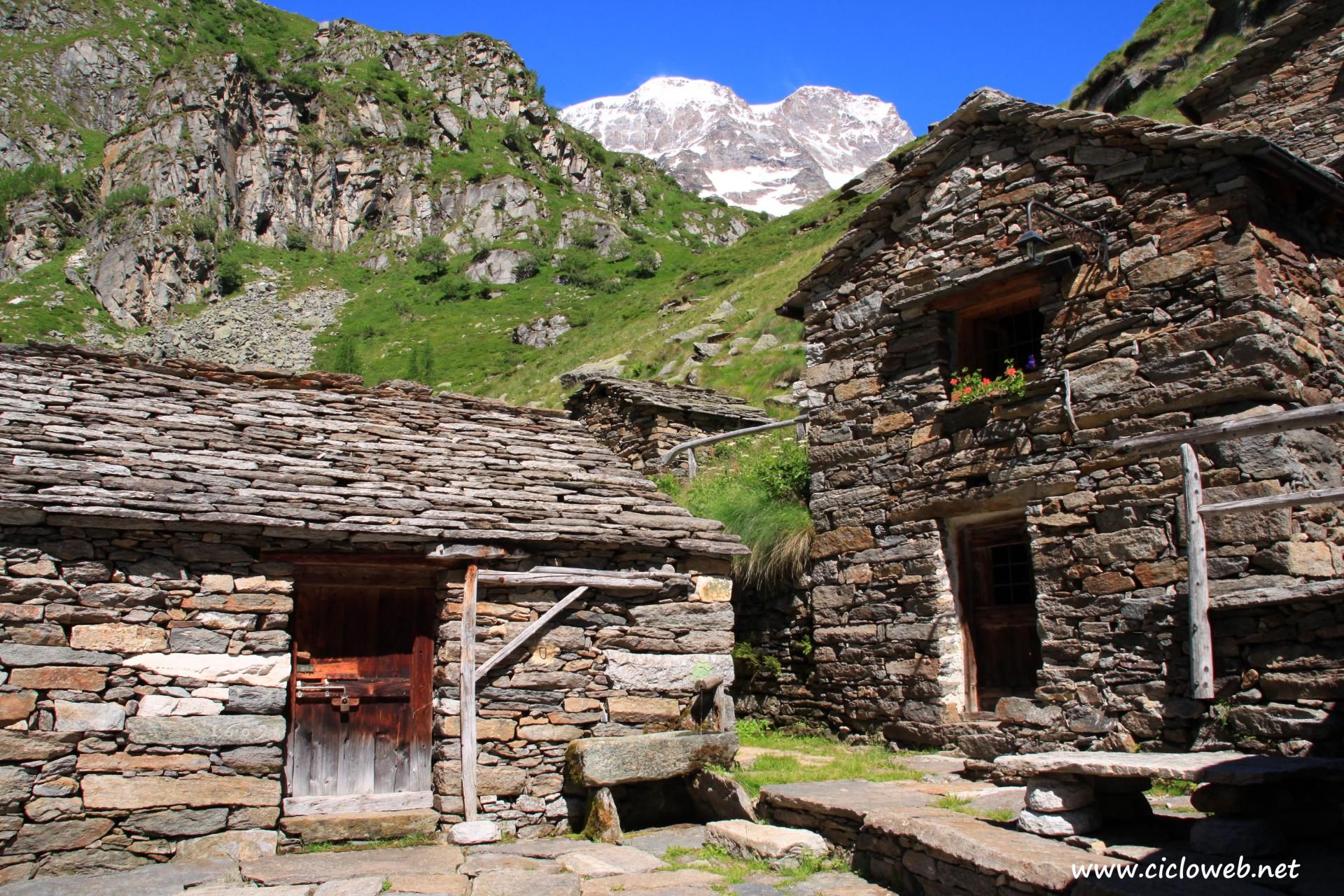 008 - Alpe Bors e rifugio Crespi Calderini, sullo sfondo il Monte Rosa.jpg